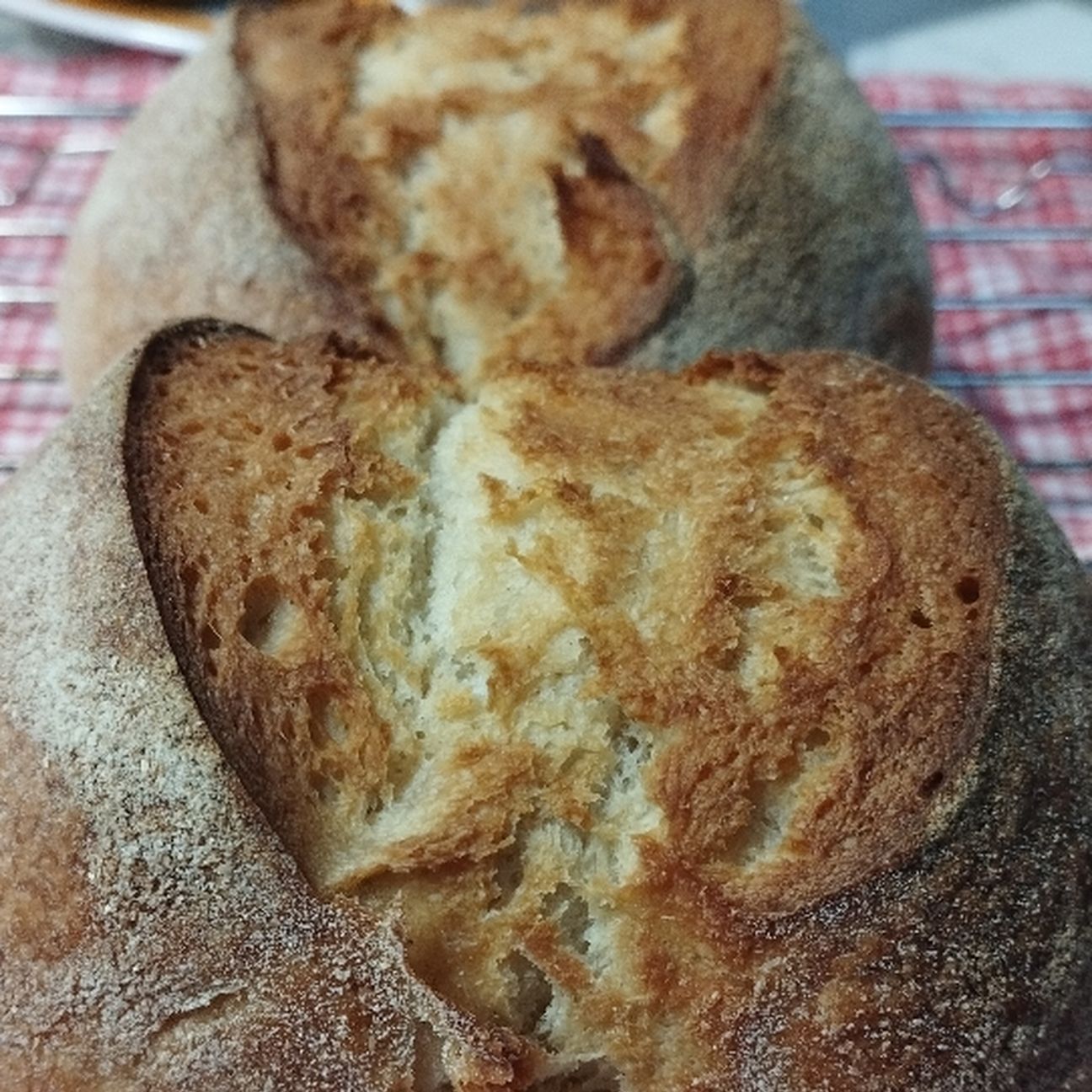 Pane di semola