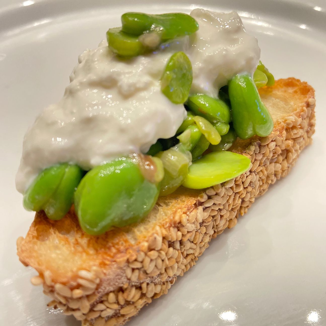 Crostone al sesamo con fave e burrata