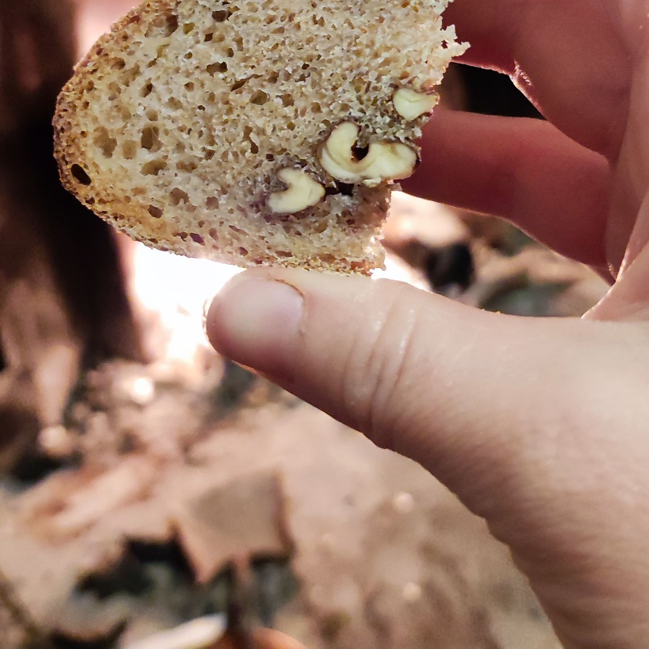 Pane ai 7 cereali e noci