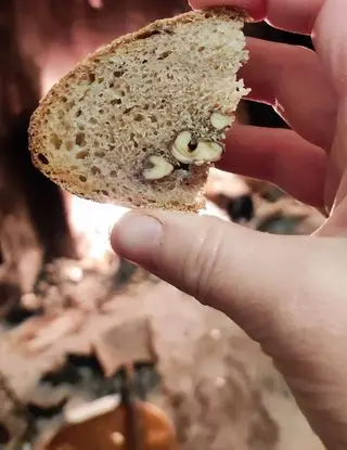 Ricetta Pane ai 7 cereali e noci di francesca.mangone