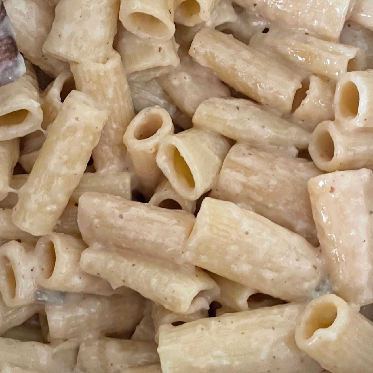 pasta gorgo e noci