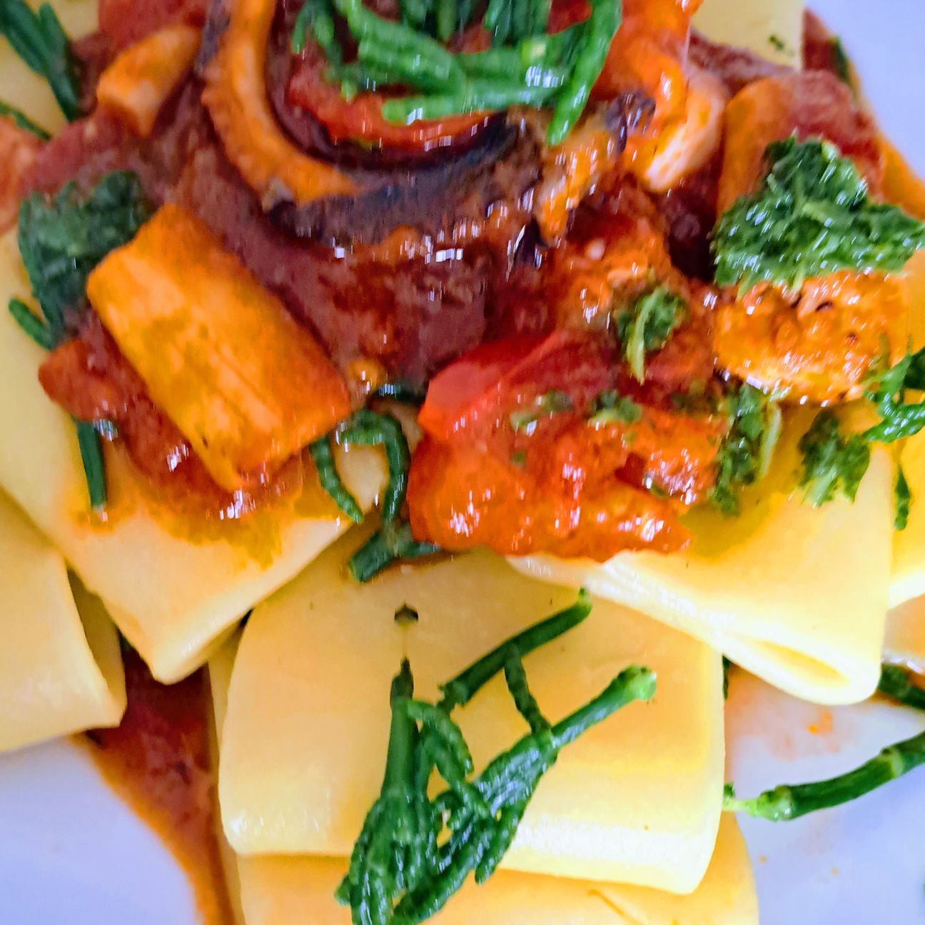 Paccheri con asparago di mare e ragù di polpo