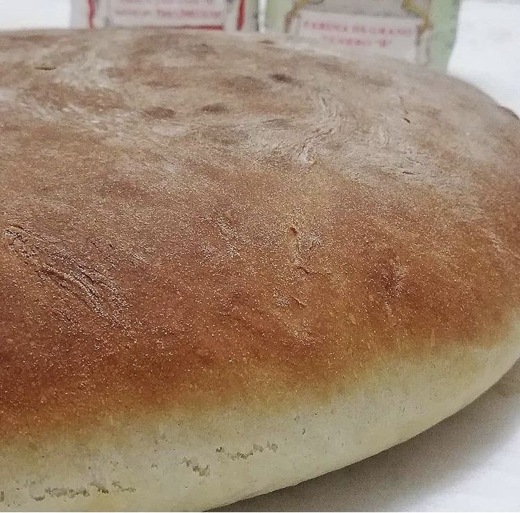 Pagnotta morbida da farcire