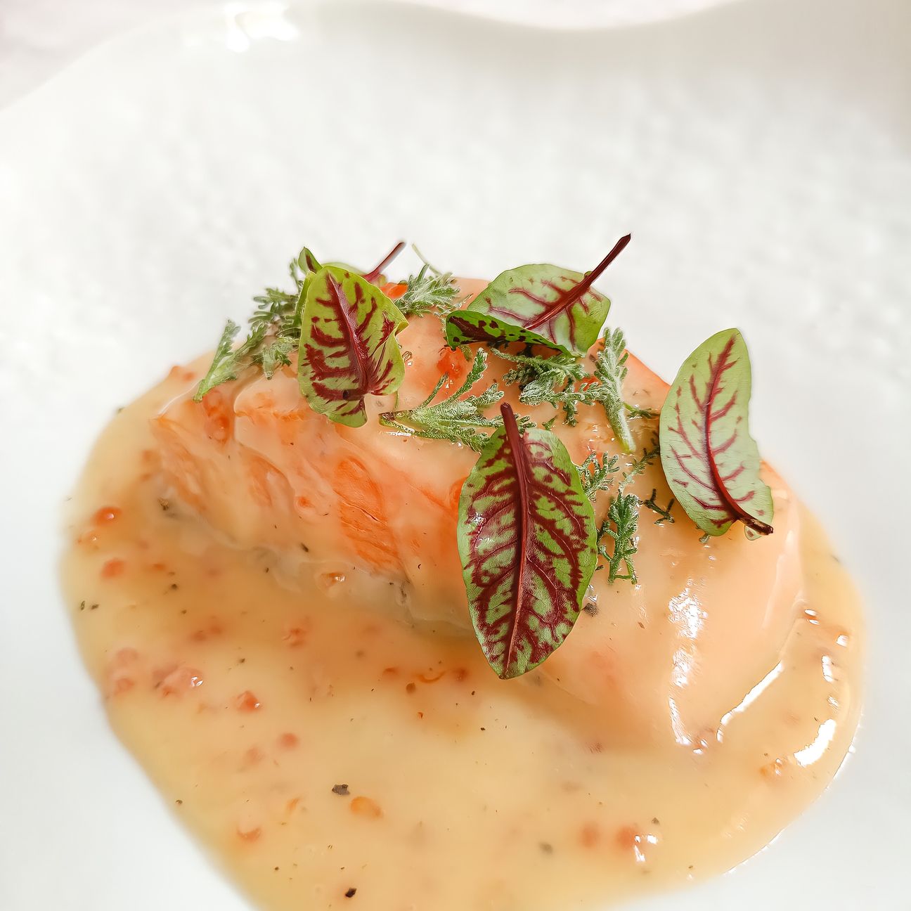 Trota, Beurre blanc, uova di trota e santolina