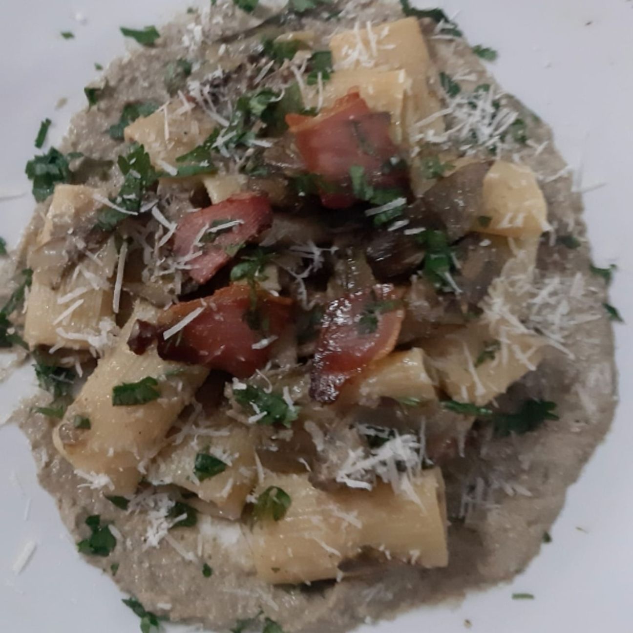 Paccheri con crema di carciofi e speck tostato