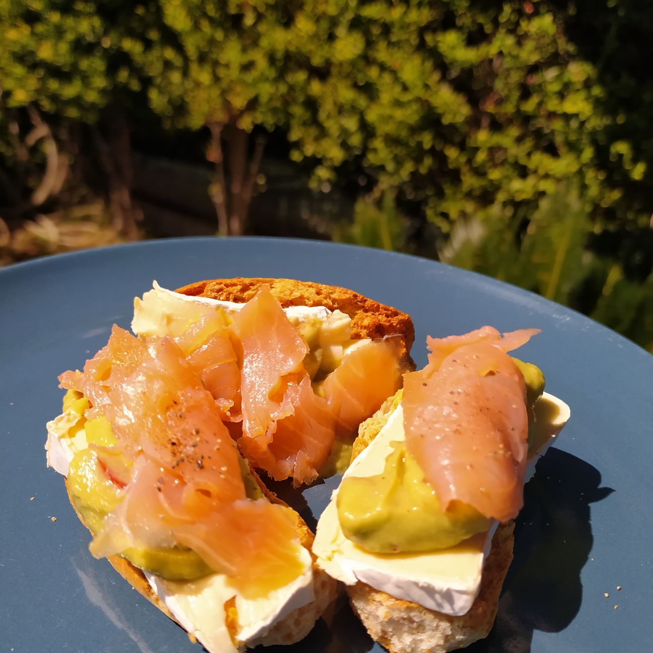 Crostini integrali al salmone🌱