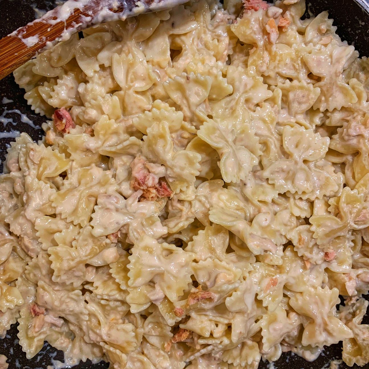 Farfalle tonno e philadelphia