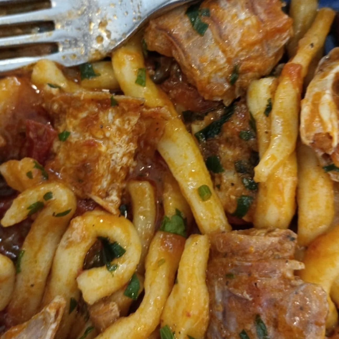 Scialatielli al sugo di canocchie o pannocchie