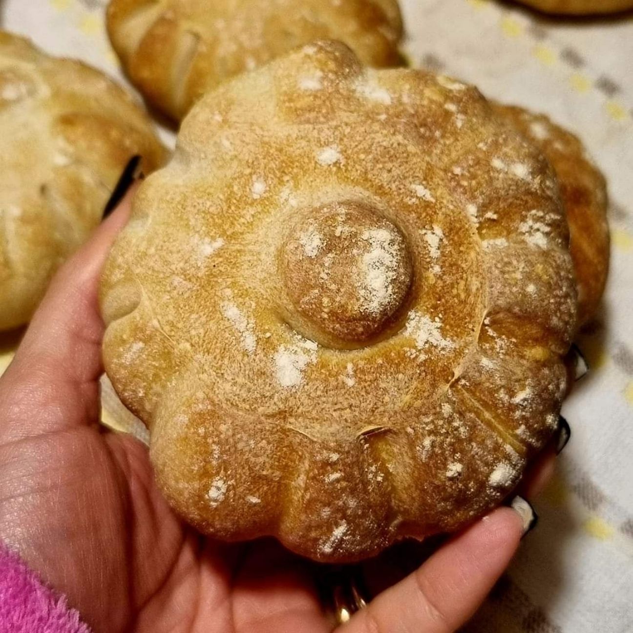 Panini rosette