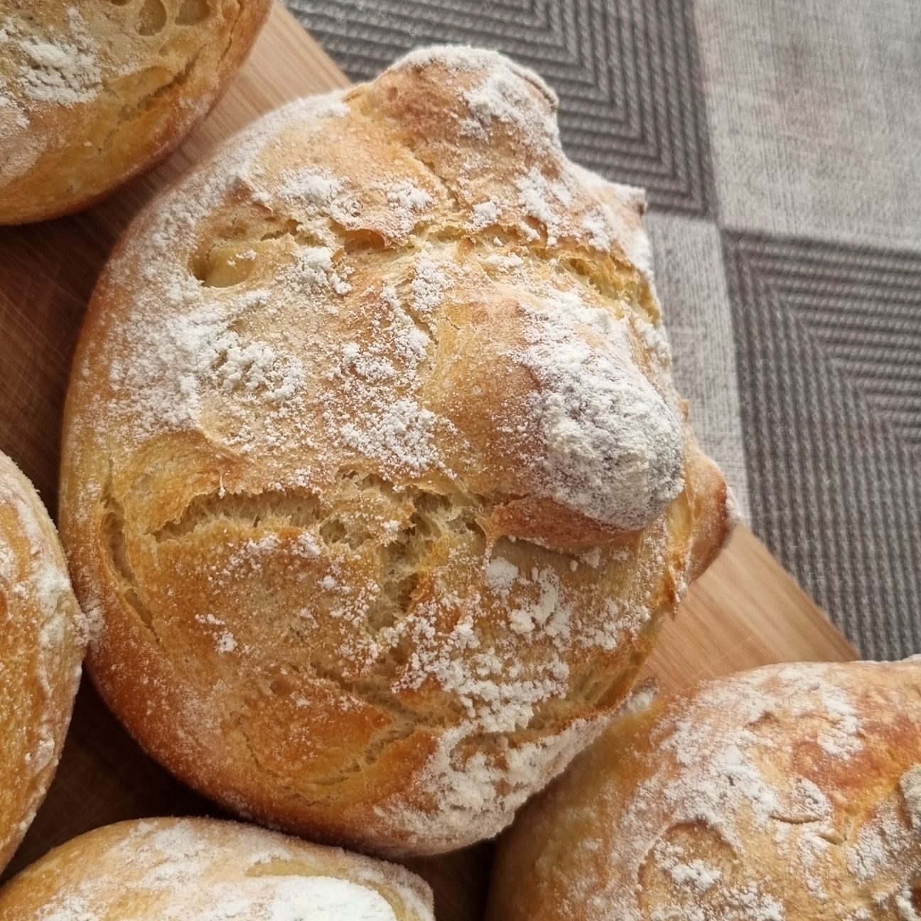 Panini tartarughine