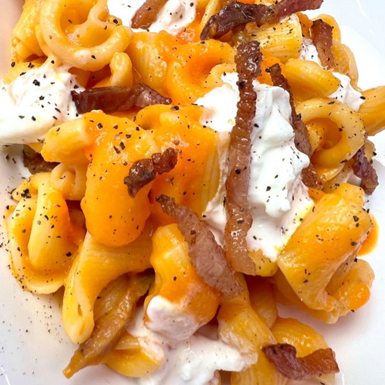 Pasta con crema di zucca, guanciale croccante e stracciatella