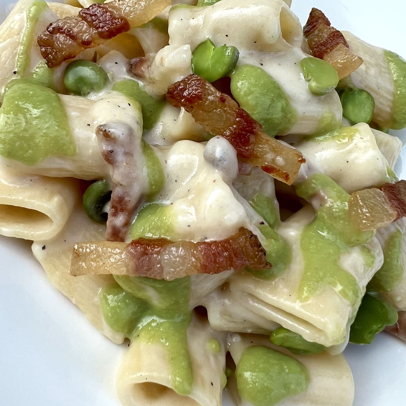 Mezze maniche con guanciale, pecorino e crema di fave