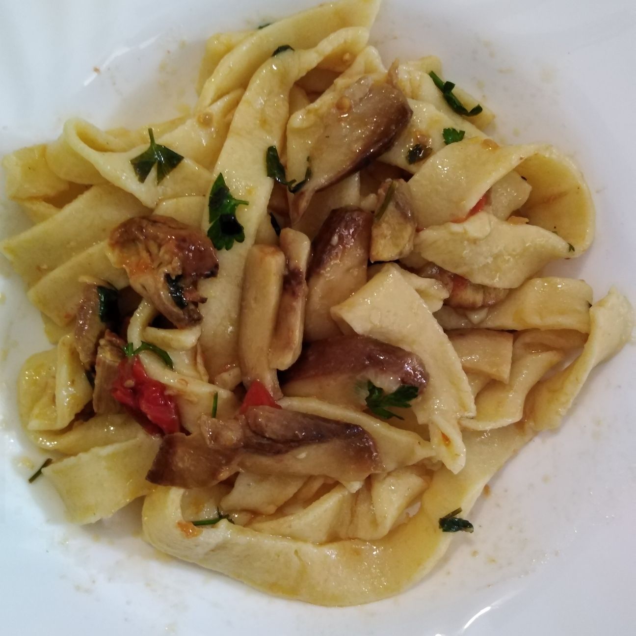 Pappardelle con funghi porcini