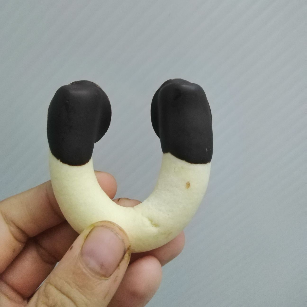 Biscotti di ferro di cavallo con glassa al cioccolato