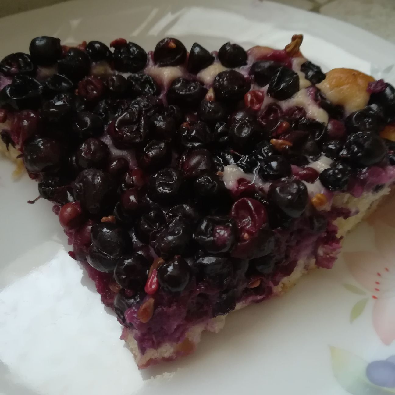 Schiacciata toscana all'uva