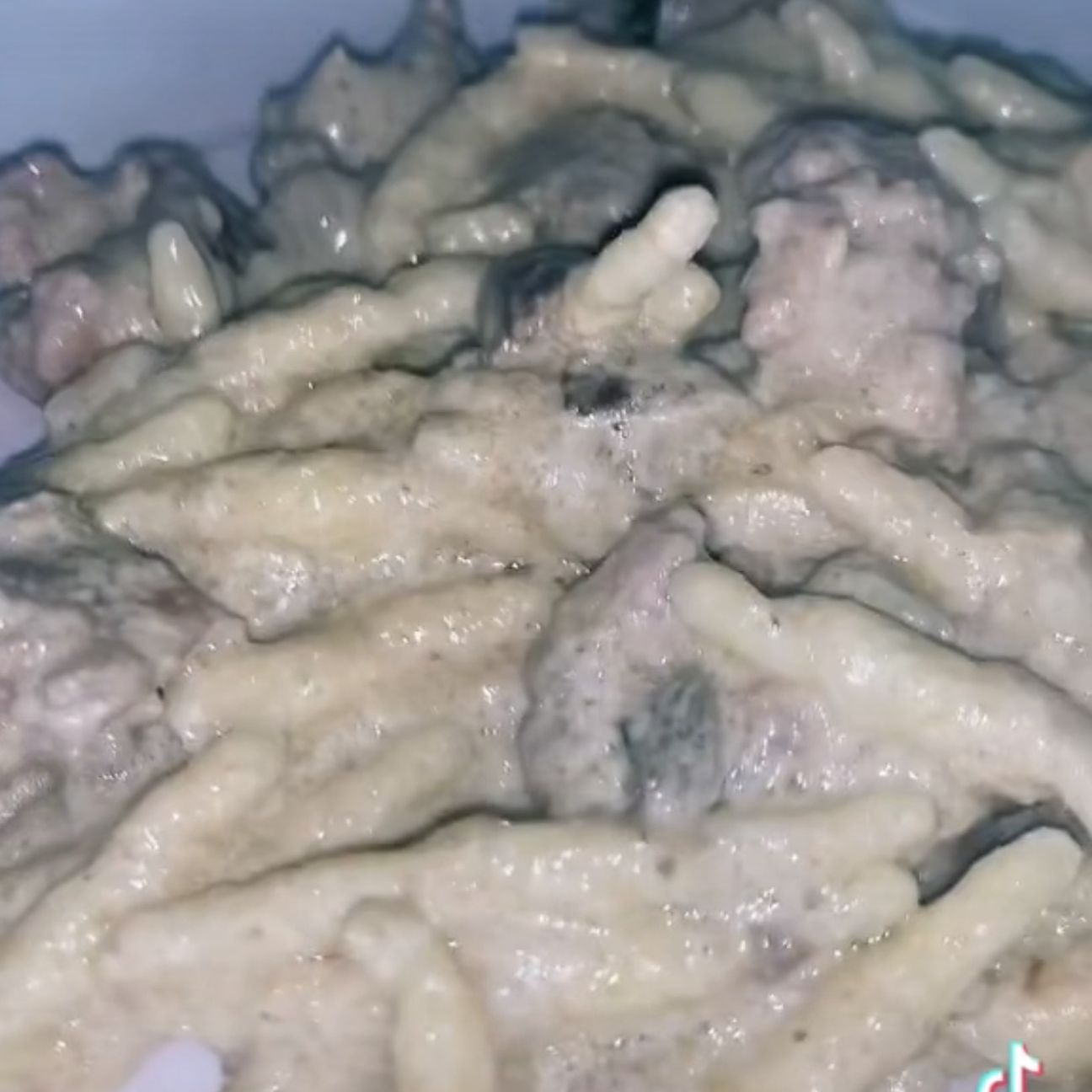 Trofie hai funghi porcini e salsiccia