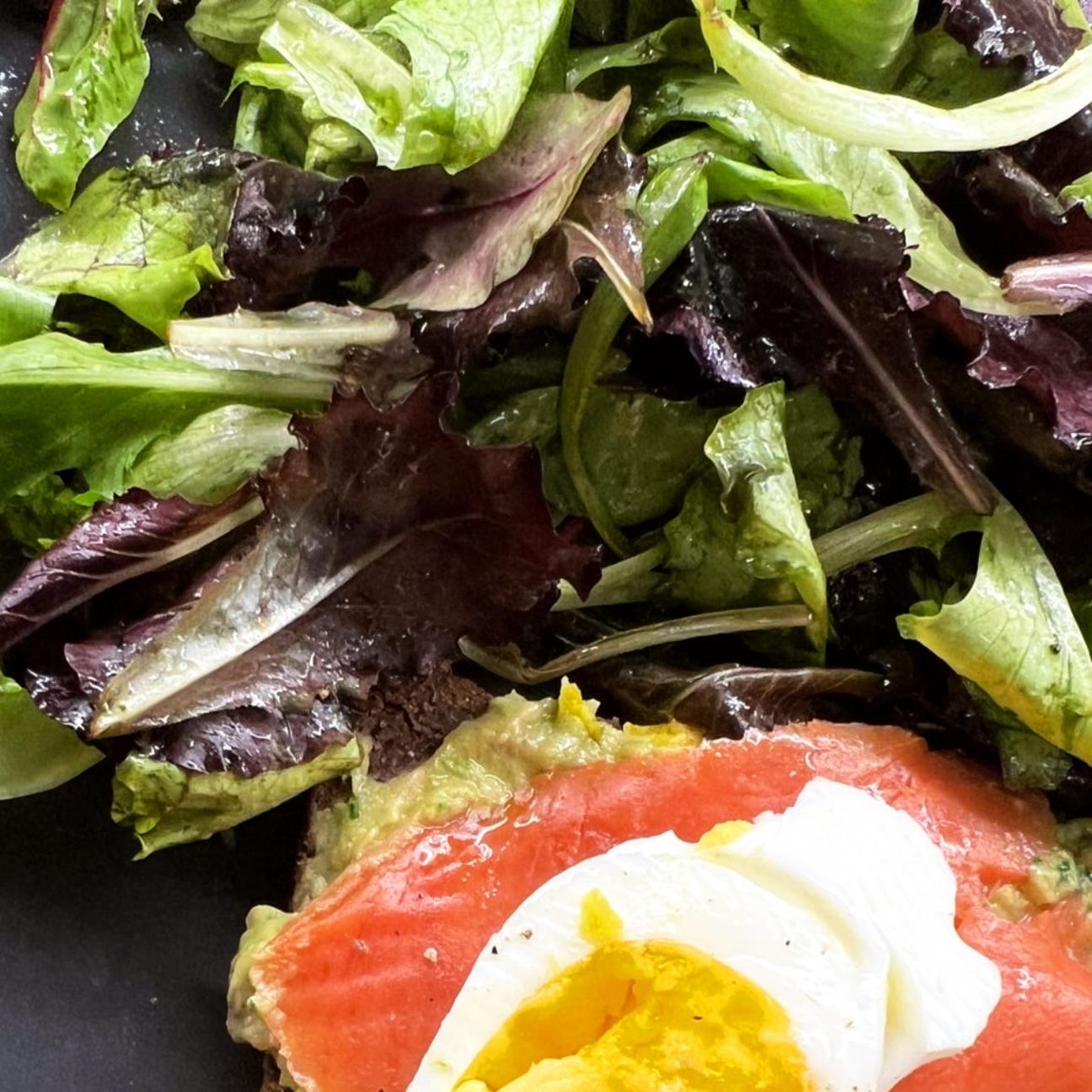 Avocado Light Toast