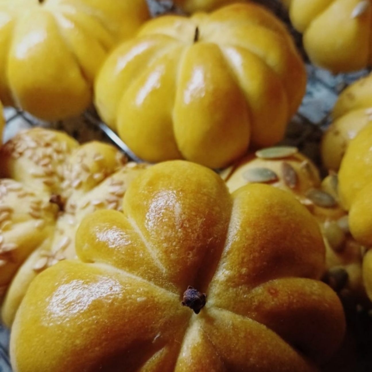 🎃Panini alla Zucca