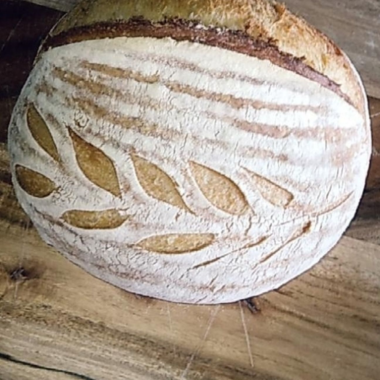 🥖PANE di Semola Rimacinata