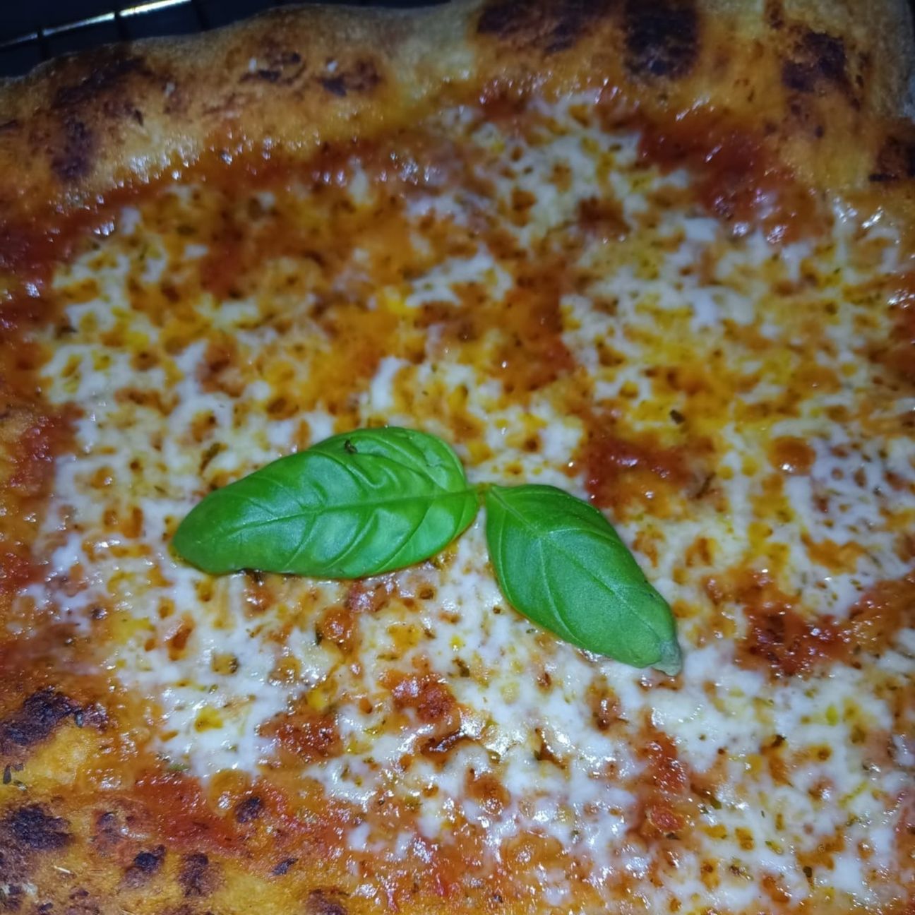 🍕Pizza Margherita