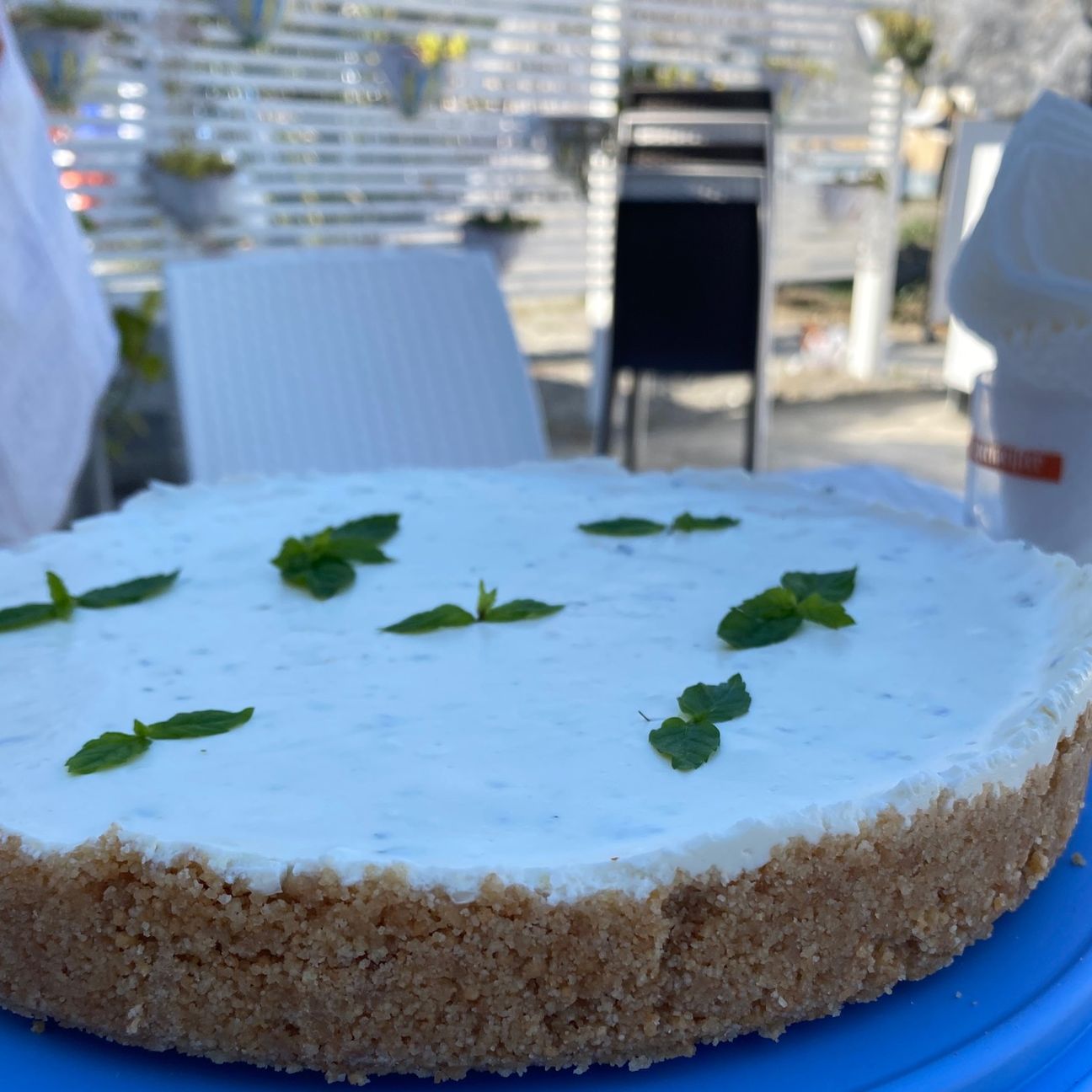 Cheesecake al mojito