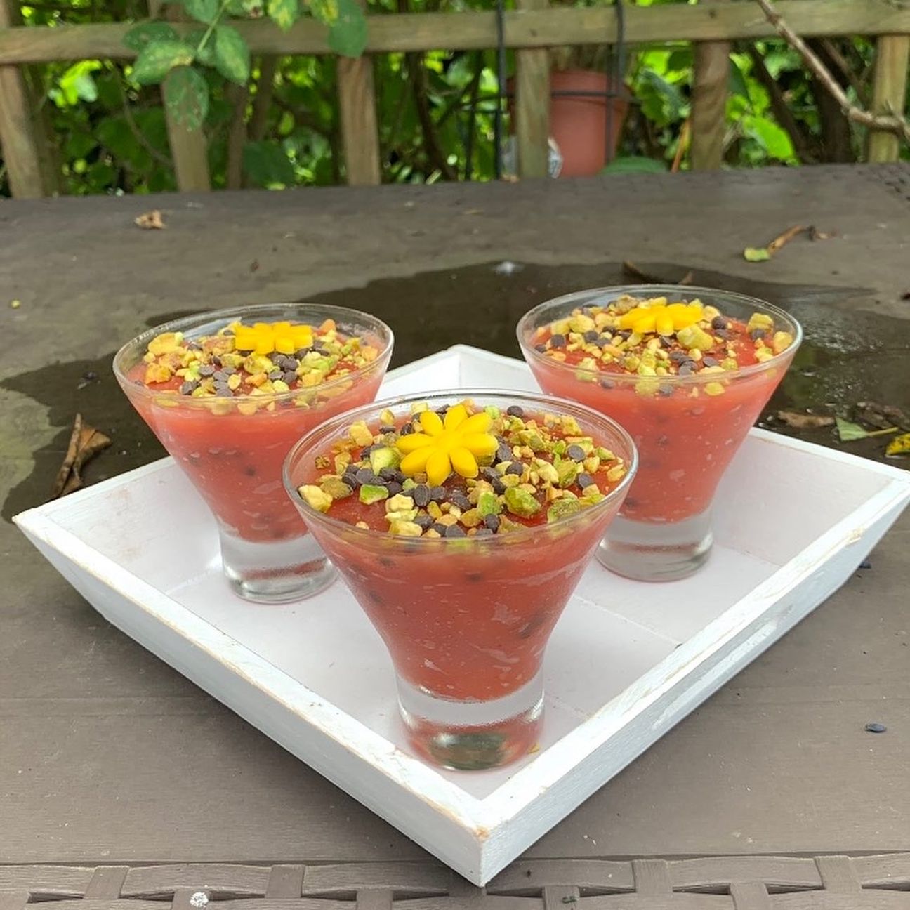 Gelo di Melone 🍉