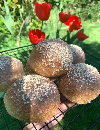 Ricetta Pane Chetogenico Proteico  di Ortensio