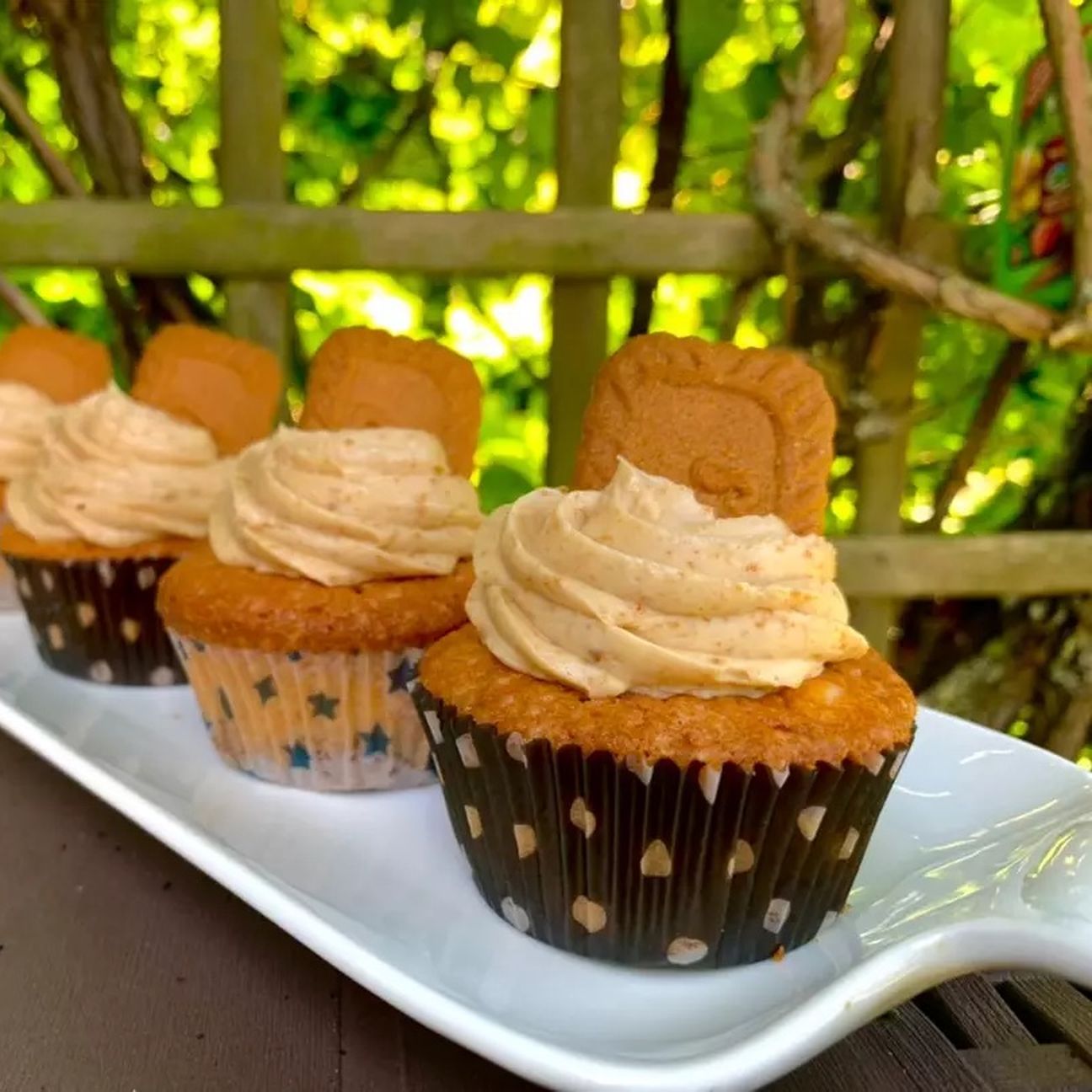 Speculos Cupcakes