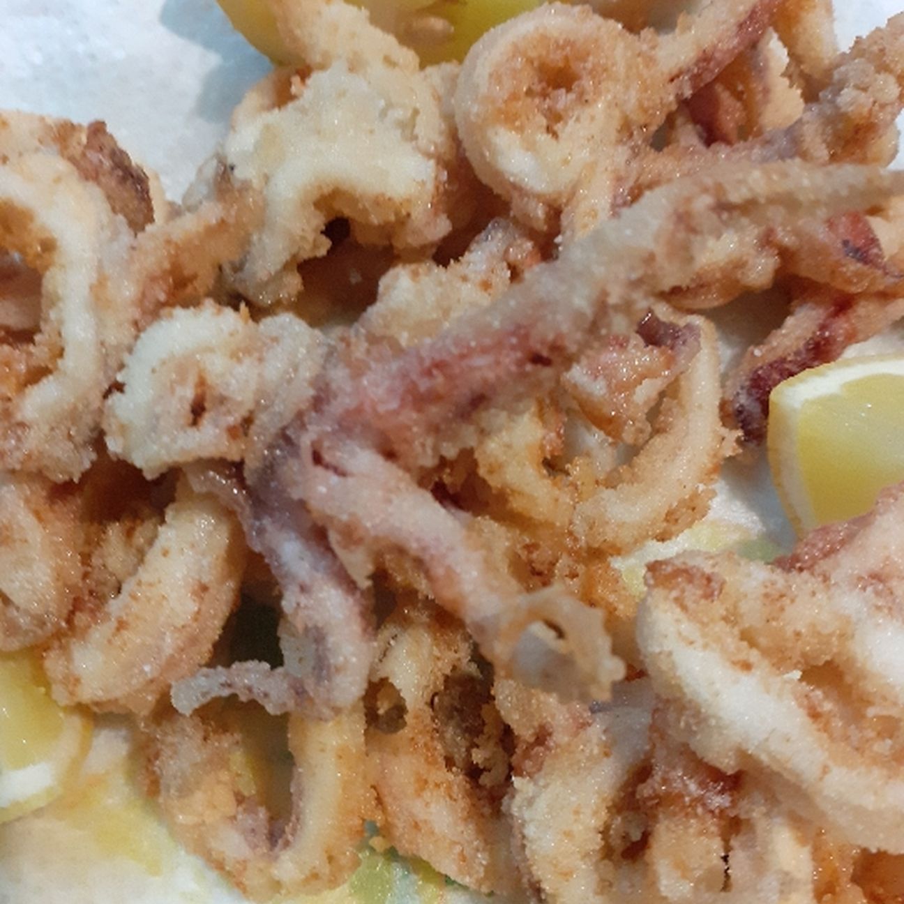 Calamari fritti