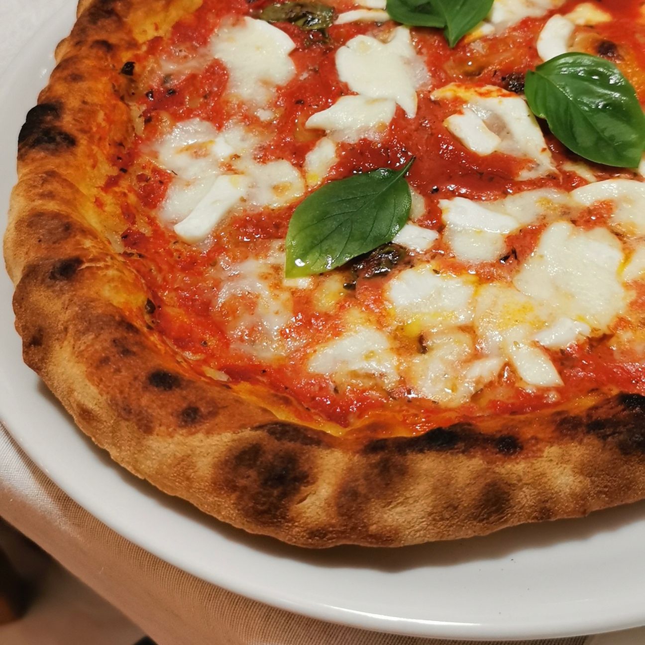 Pizza napoletana come in pizzeria