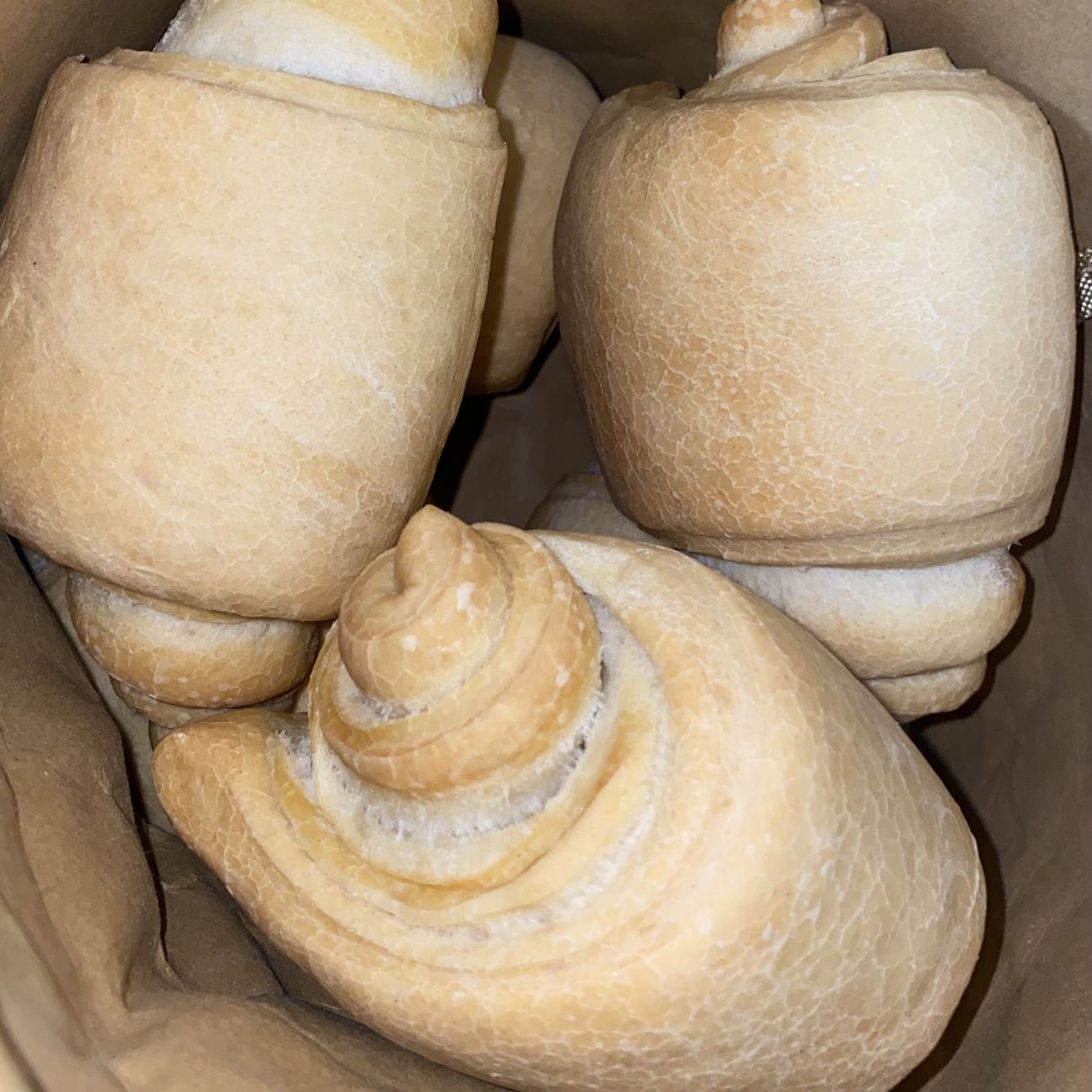 Panini all’olio
