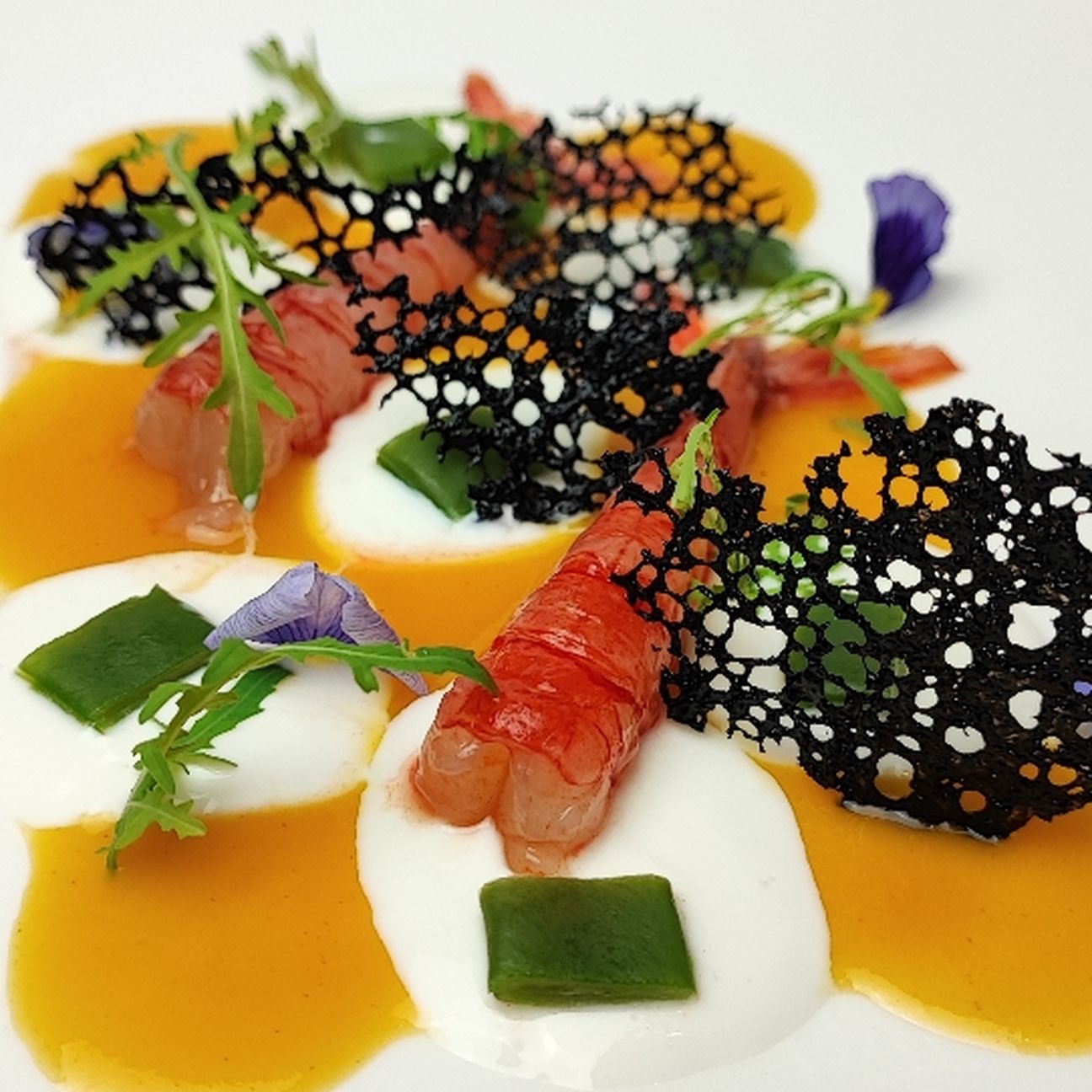 Crudo di gambero rosso