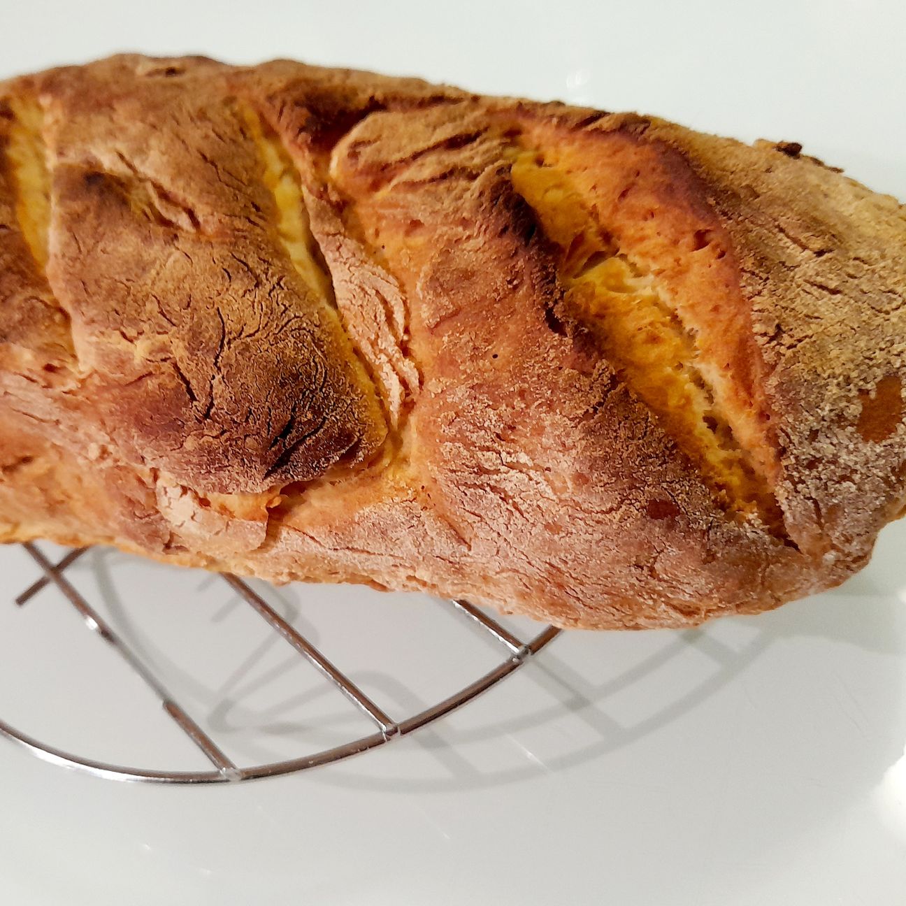 Filone di Pane velocissimo