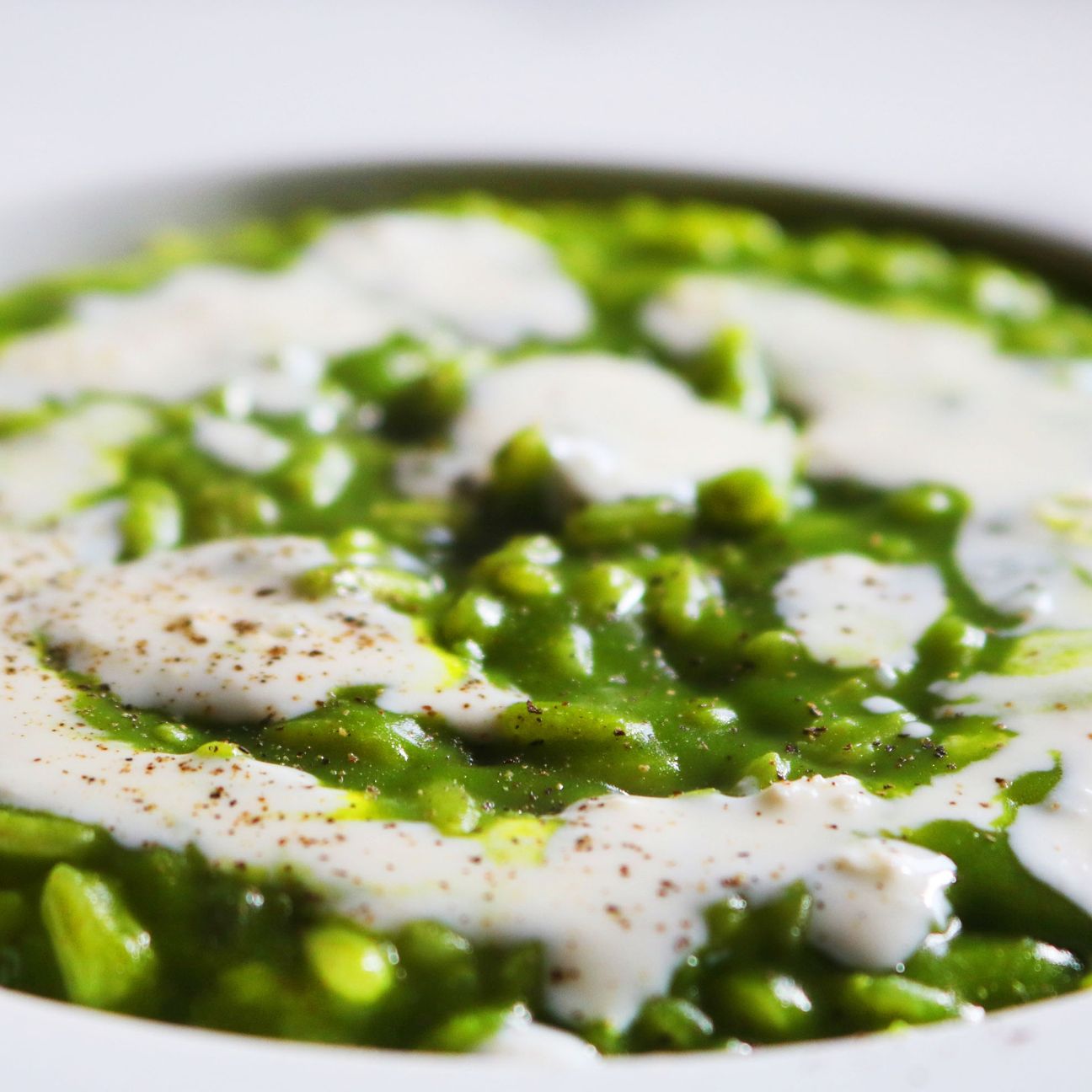 Risotto con crema di borragine e fonduta di ricotta