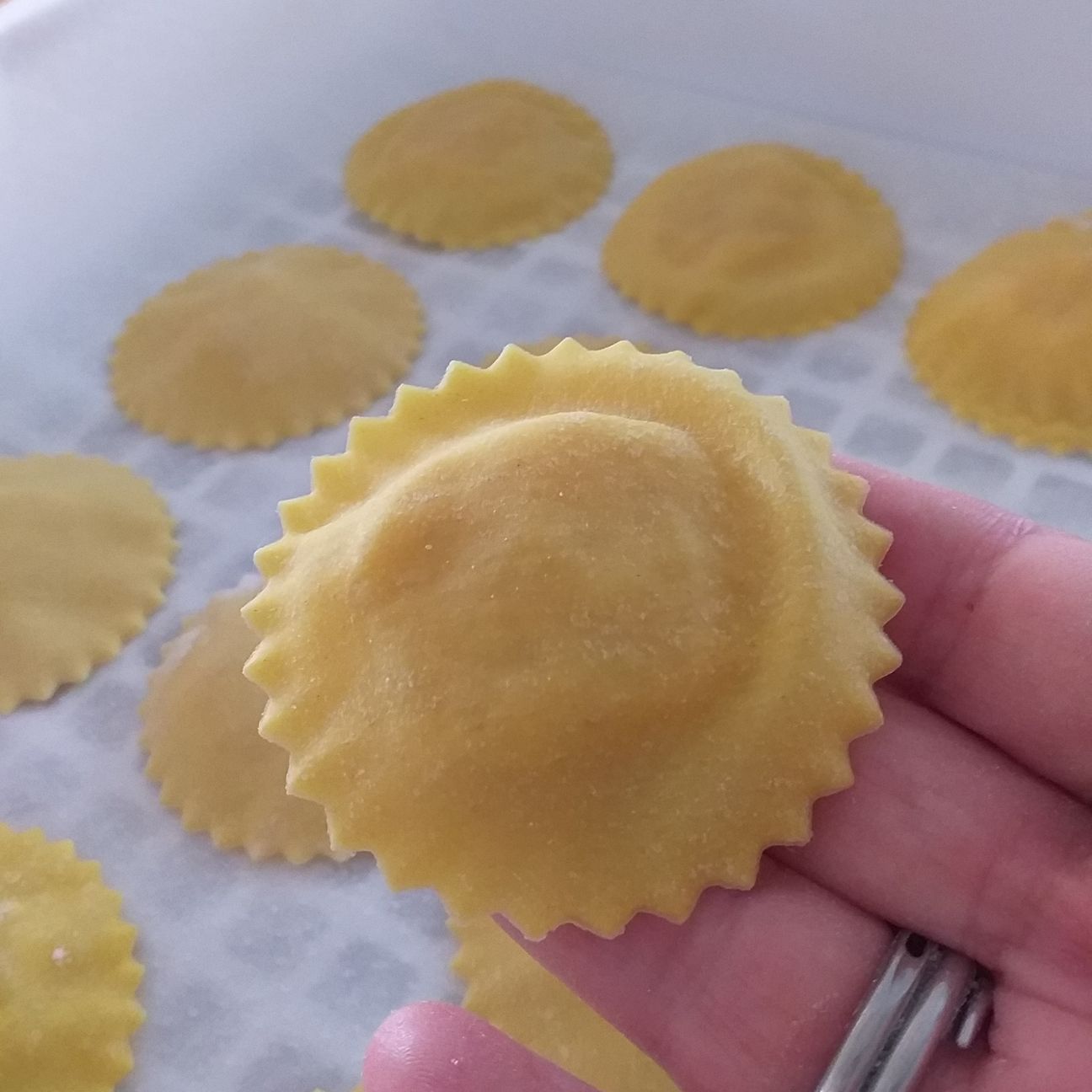 Girasoli farciti con carbonara