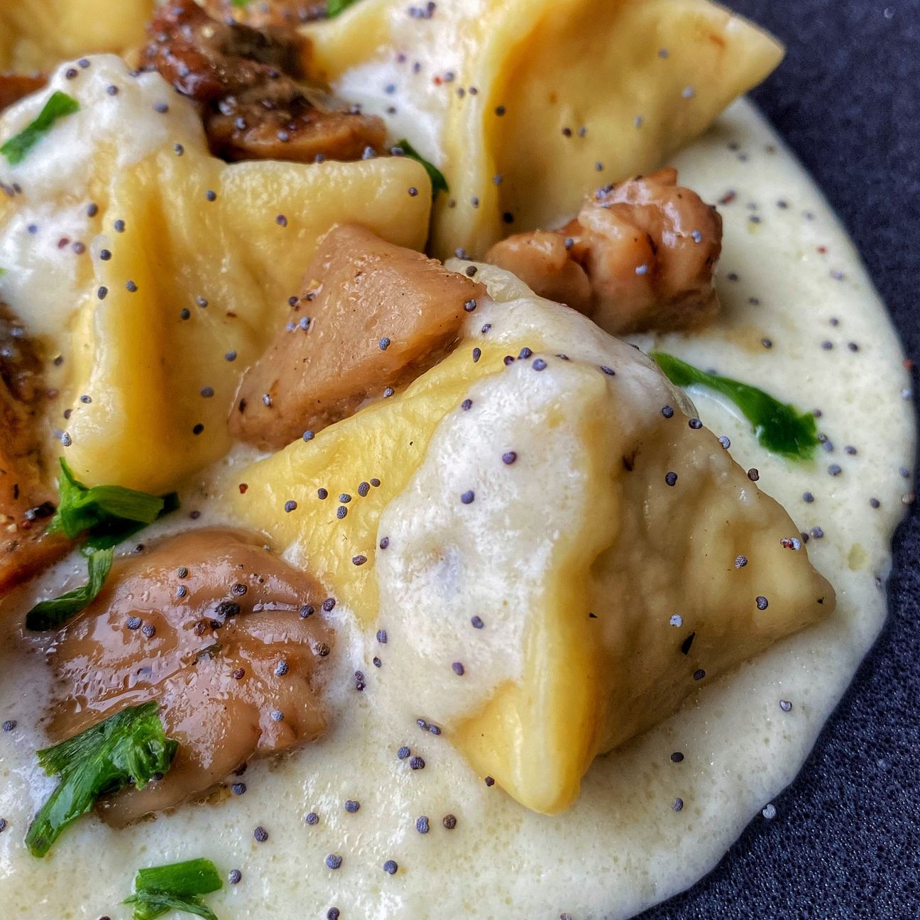 Fagottini di pasta fresca con funghi porcini e brie, su crema di brie, semi di papavero ed erba cipollina