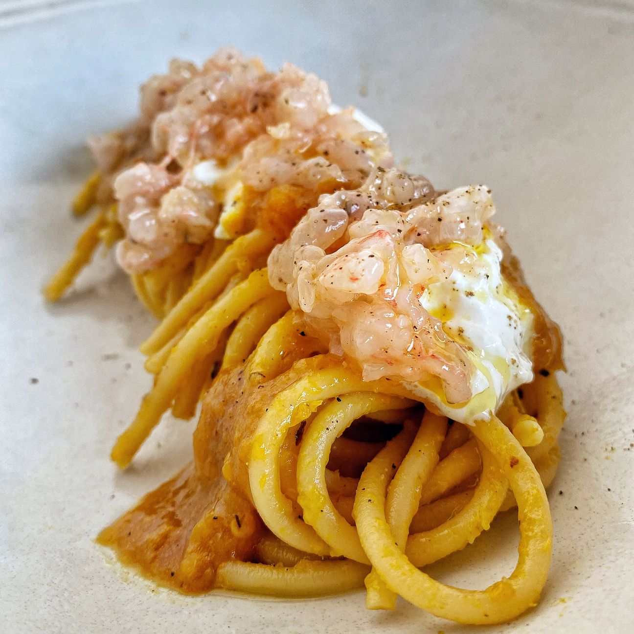 Spaghettone con crema di peperoni, burrata e tartare di gamberi