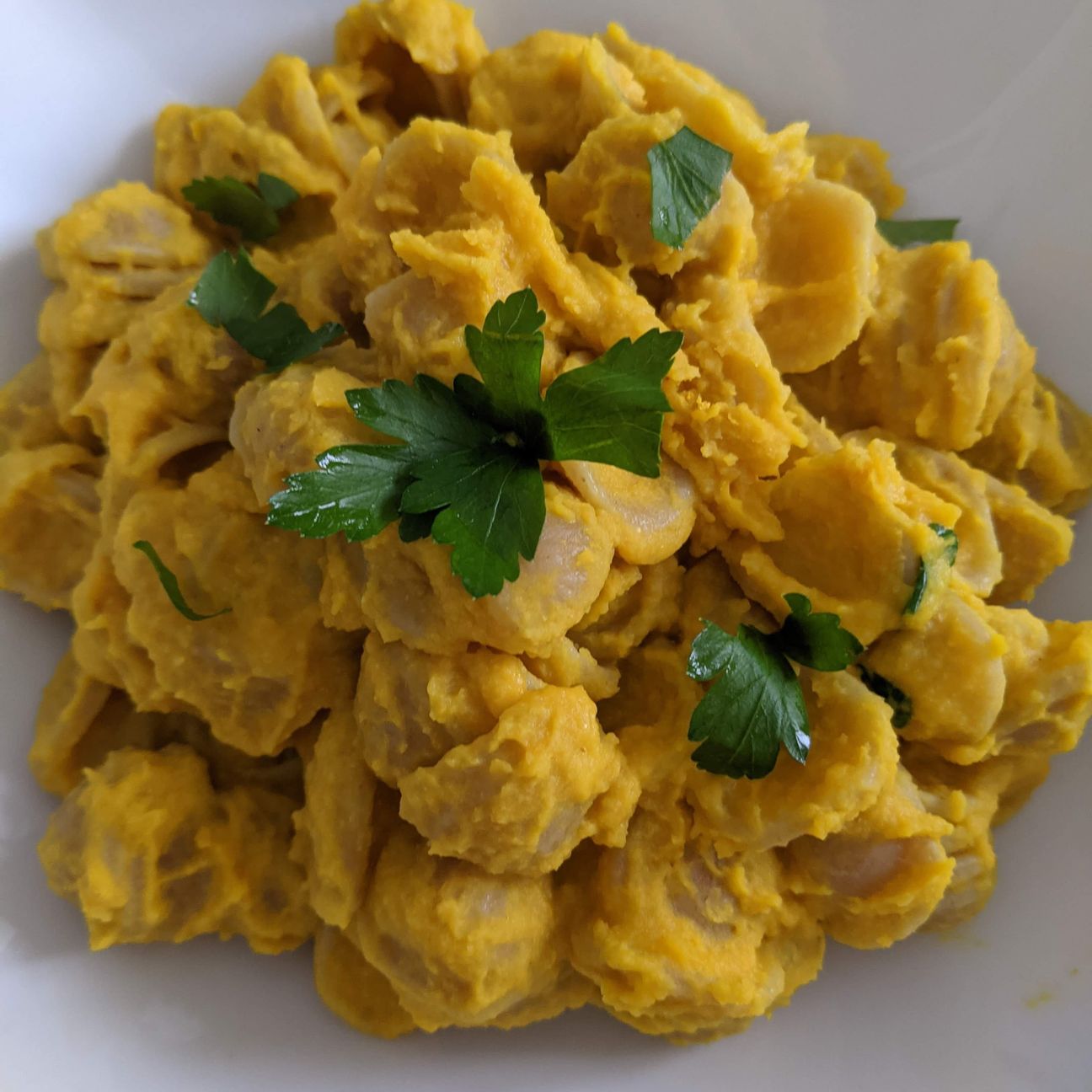 Orecchiette alla crema di ceci e carote