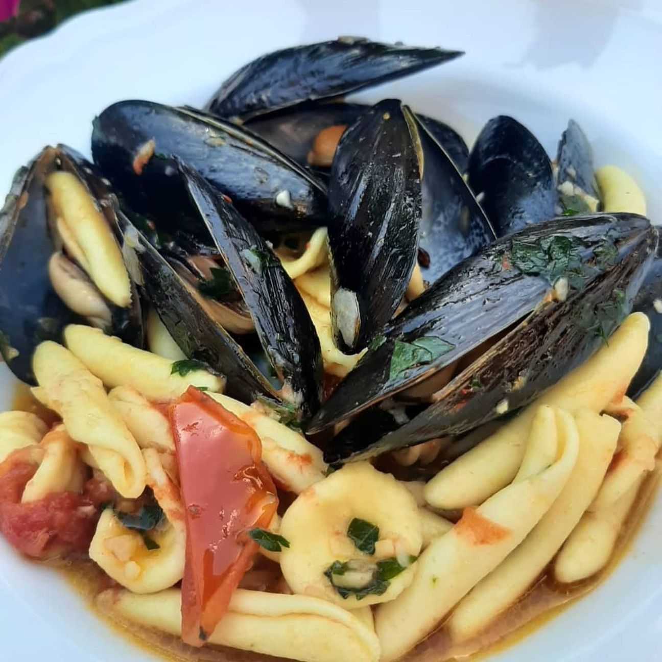 Orecchiette minchiareddhi e cozze