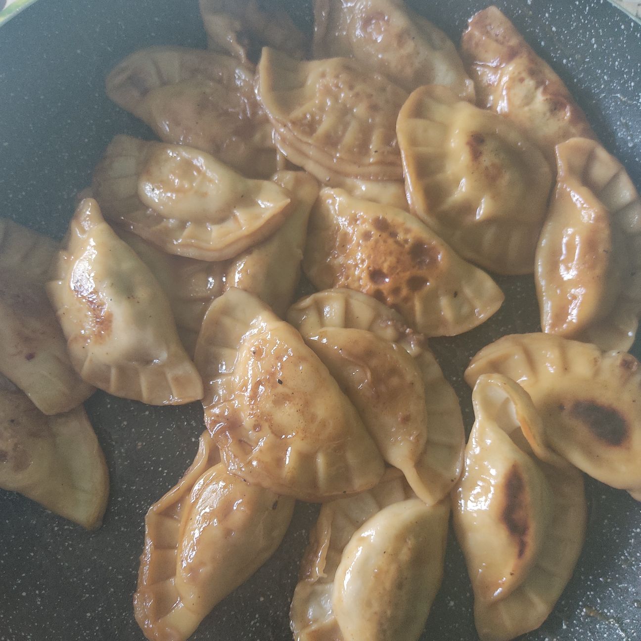 Gyoza in padella