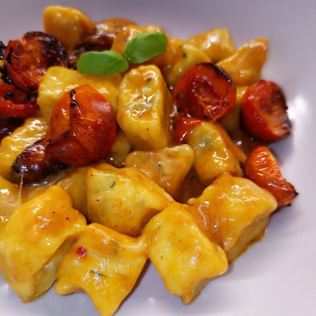Gnocchi al basilico, pomodorini confit e taleggio