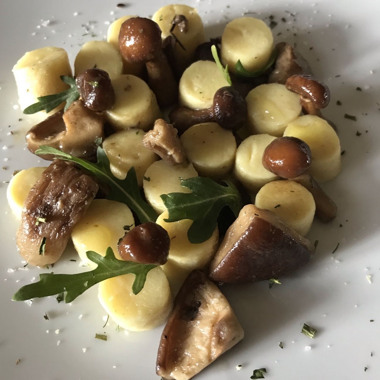 Gnocchi con funghi misti