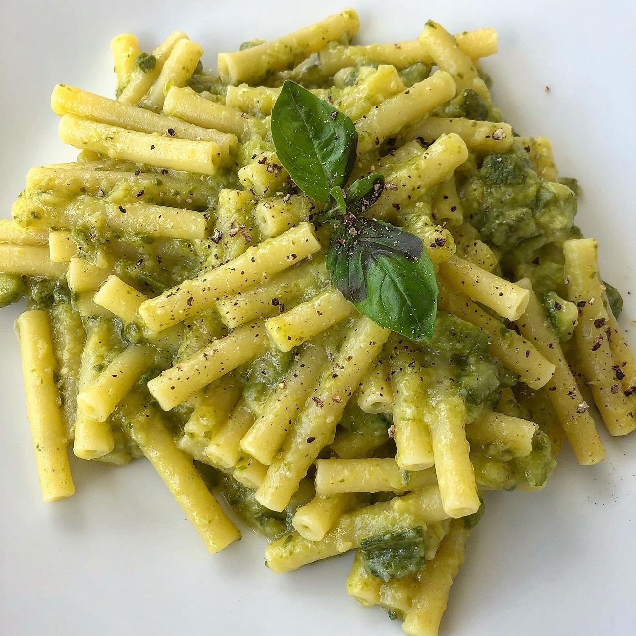 Sedani lisci con crema di zucchine