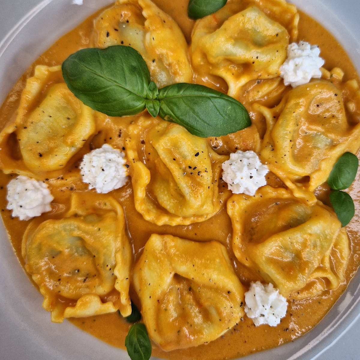 Tortelloni di ricotta e spinaci con crema di pomodorini ricotta e basilico