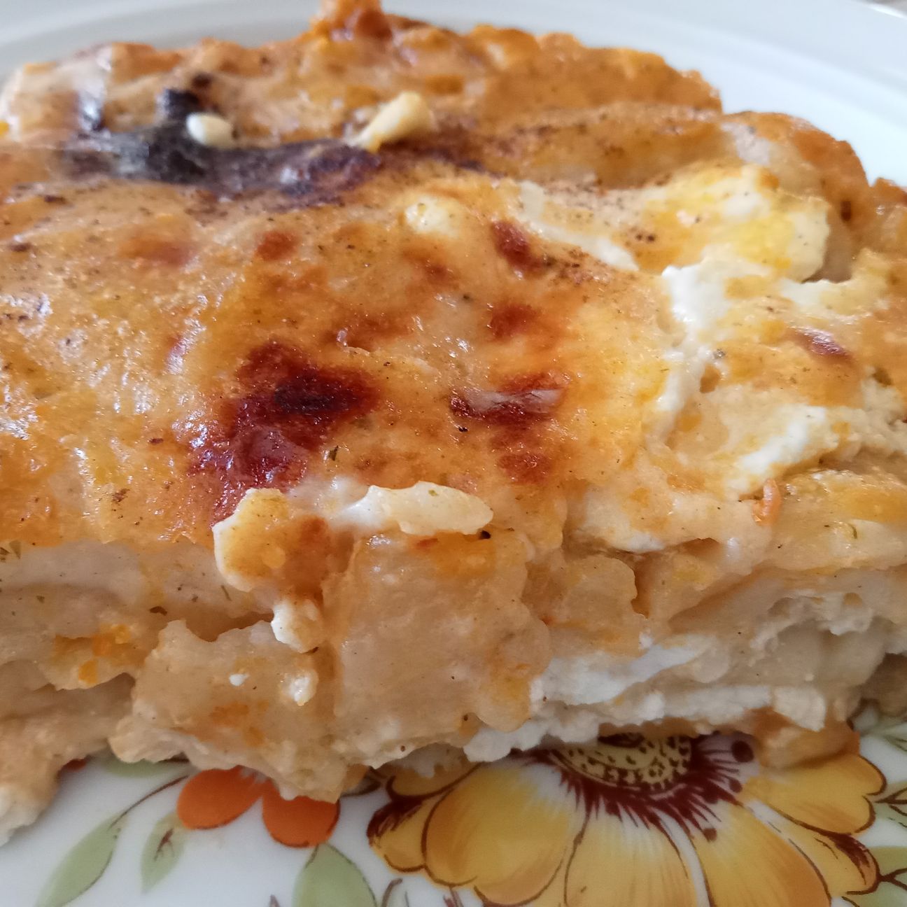 Lasagna fresca con zucca è ricotta