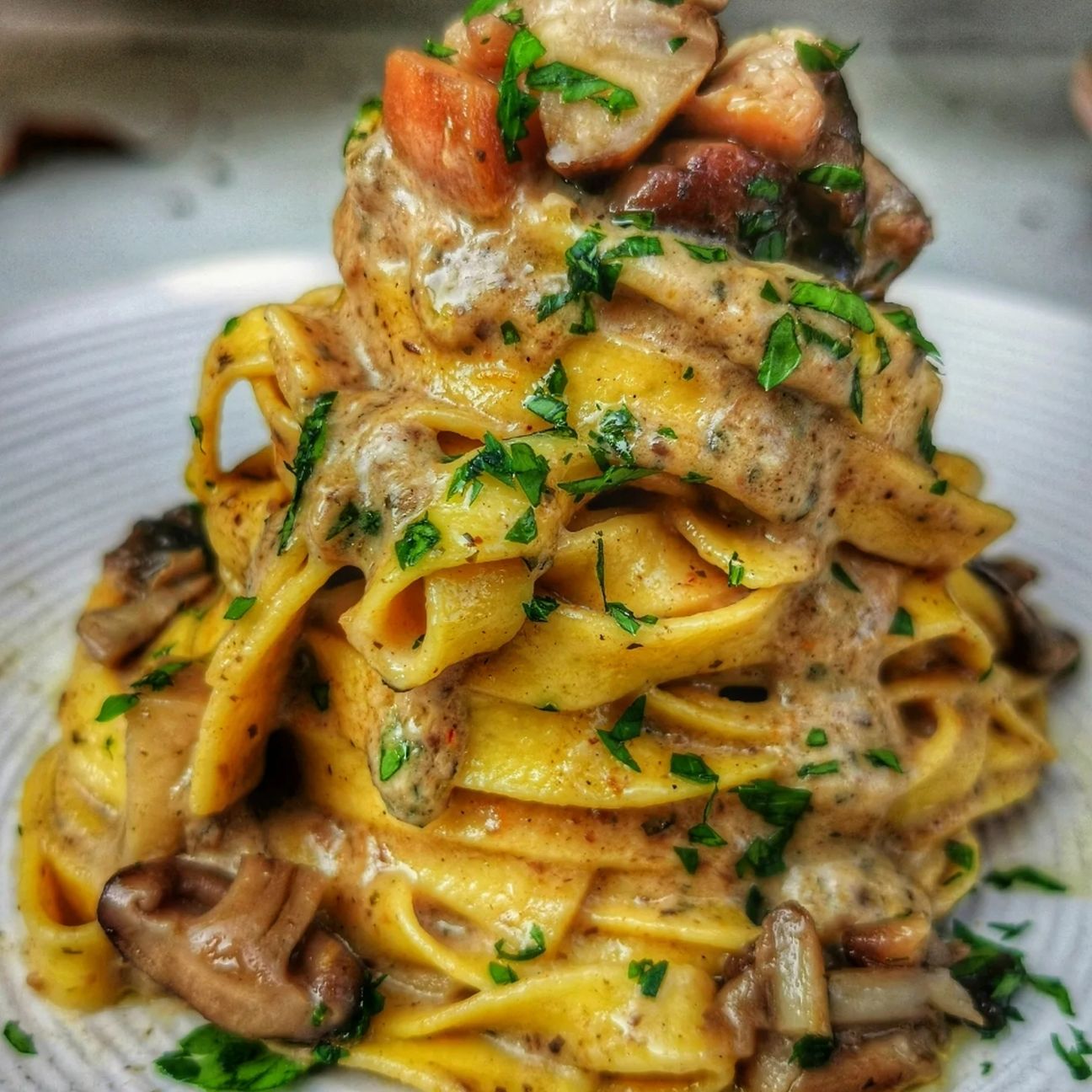 Tagliatelle ai funghi