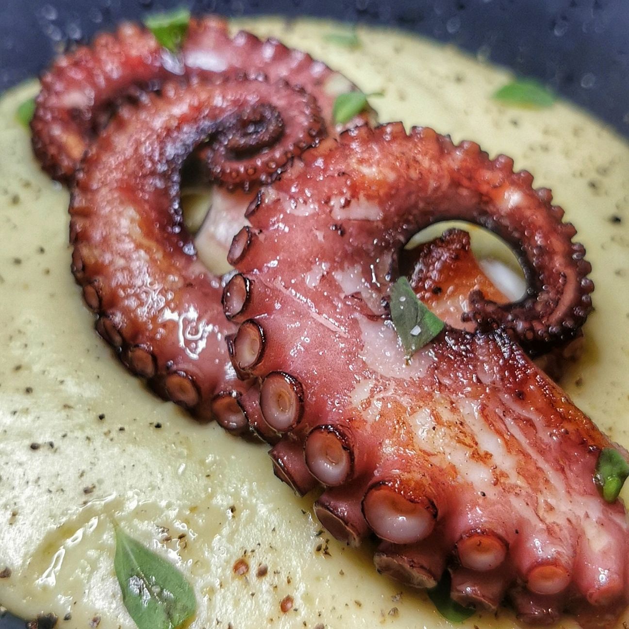 Polpo e Patate