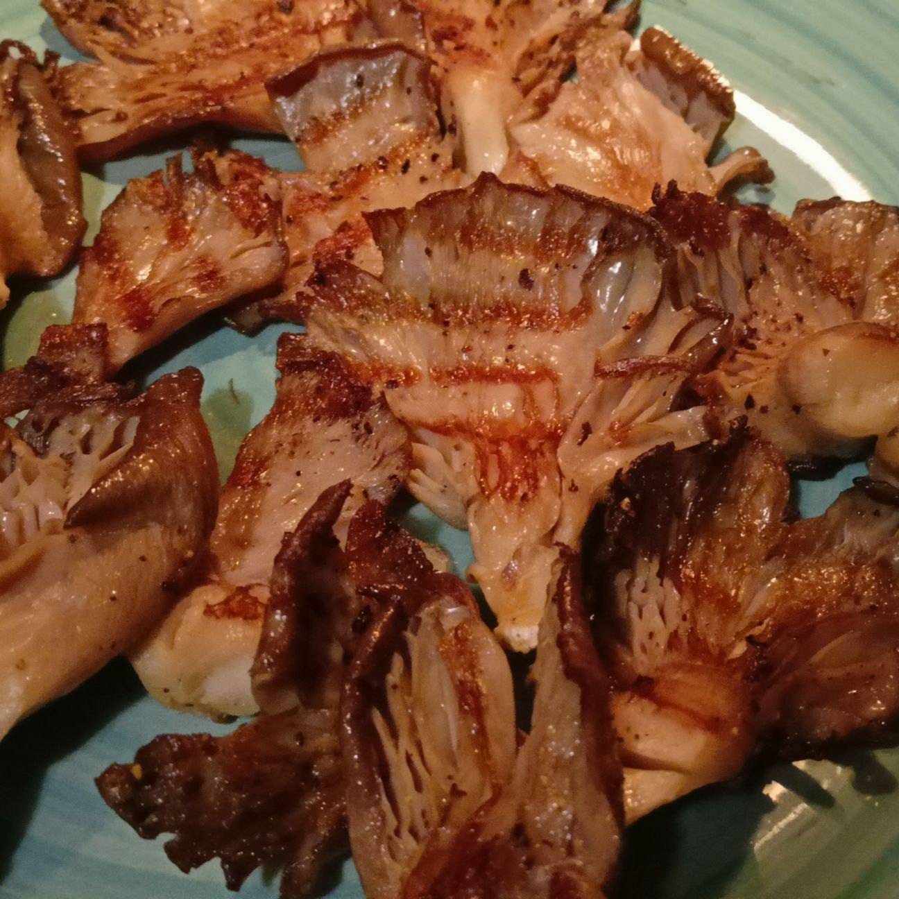 Funghi pleurotus grigliati