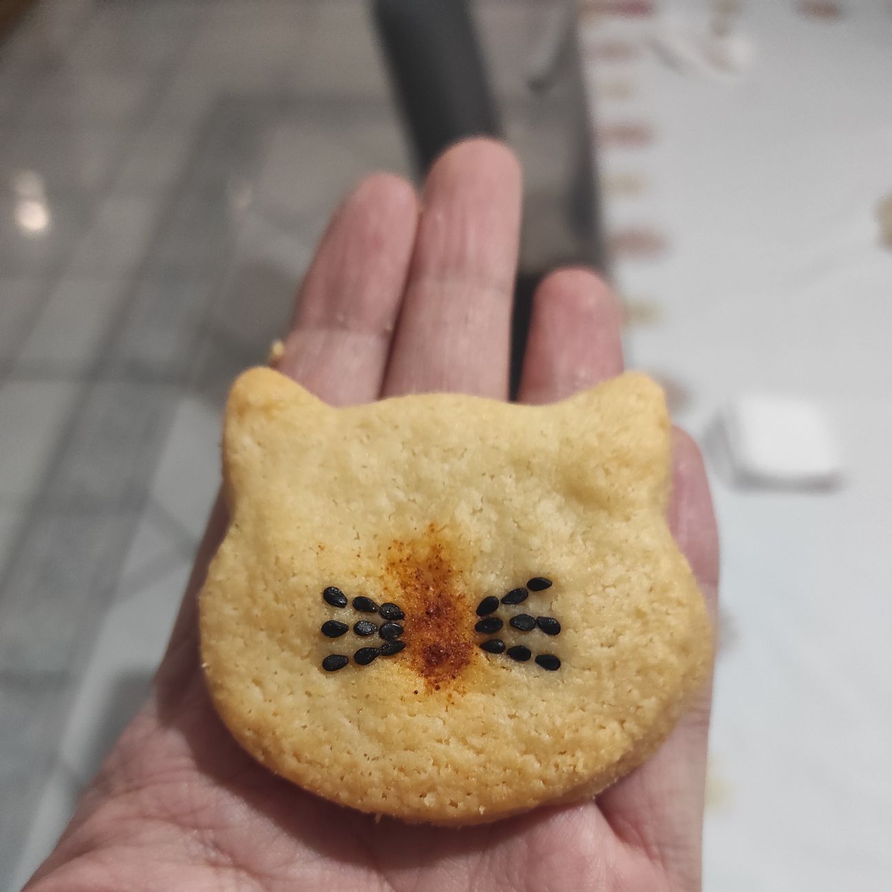 Biscotti di parmigiano
