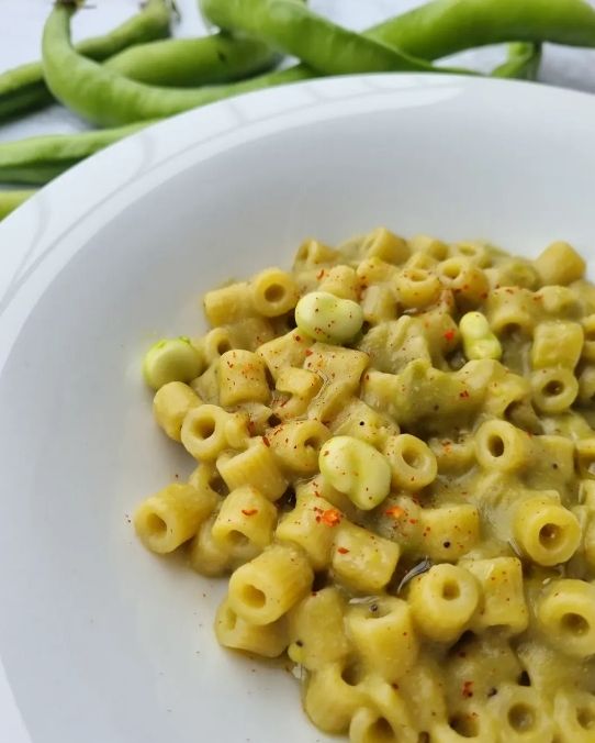 Pasta risottata con crema di fave e peperoncino